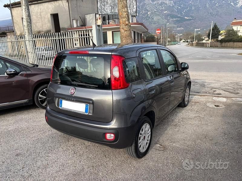 Usata Fiat Panda Easy 69 CV (50 kW) 2019 Grigio Utilitaria