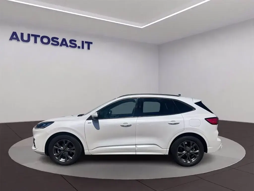 Usata Ford Kuga ST-Line 190 CV (139 kW) 2023 Bianco SUV