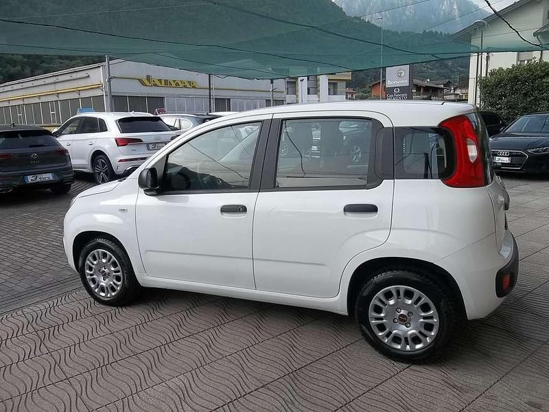 Usata Fiat Panda S 69 CV (50 kW) 2021 Pastello Utilitaria
