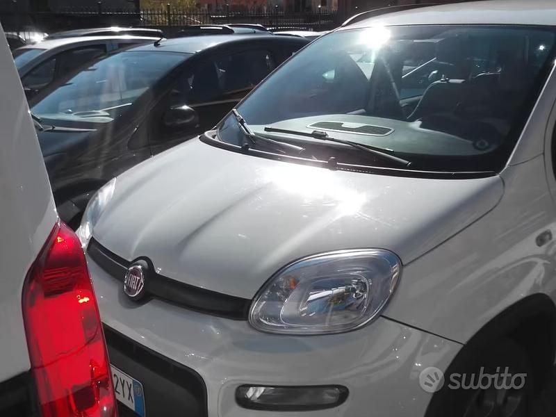 Usata Fiat Panda 4x4 S 85 CV (62 kW) 2015 Bianco Utilitaria