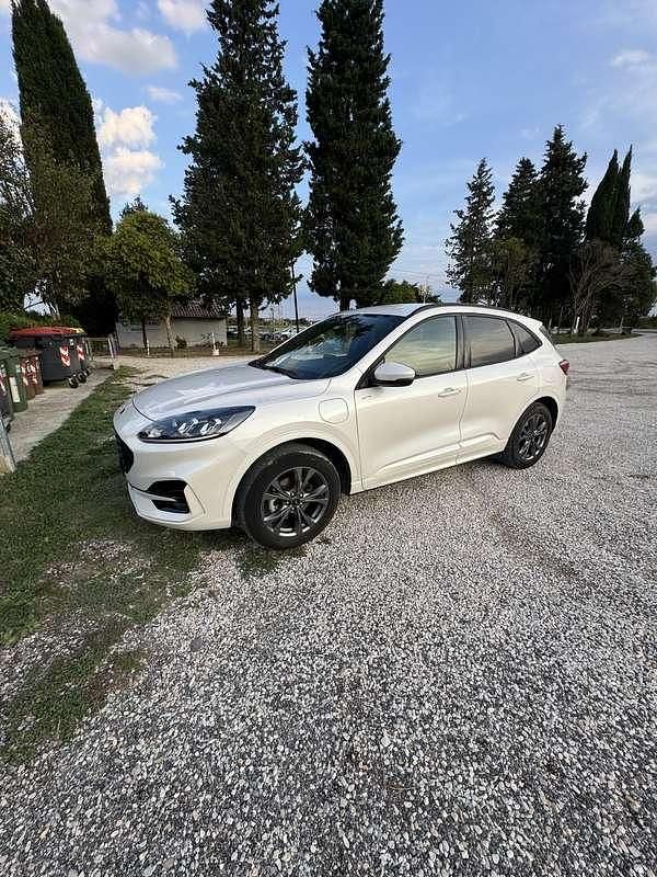 Usata Ford Kuga ST-Line 152 CV (111 kW) 2023 Bianco SUV