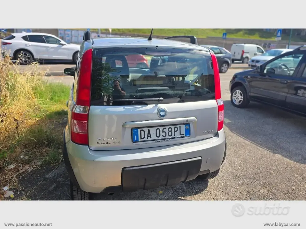 Usata Fiat Panda 4x4 Climbing 69 CV (50 kW) 2006 Utilitaria