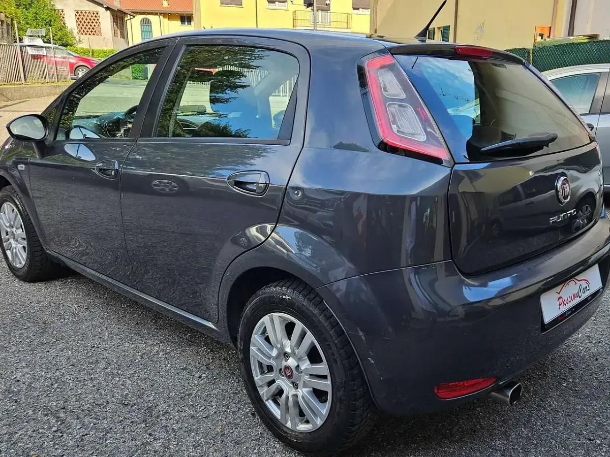 Usata Fiat Punto Lounge 69 CV (50 kW) 2015 Grigio Utilitaria