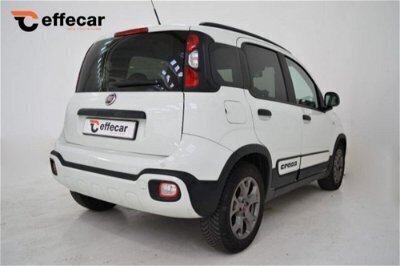 Usato 2018 Fiat Panda 4x4 1.2 Diesel 80 CV (14.200 €)