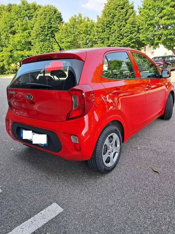 Usata Kia Picanto Active 67 CV (49 kW) 2018 Rosso Utilitaria