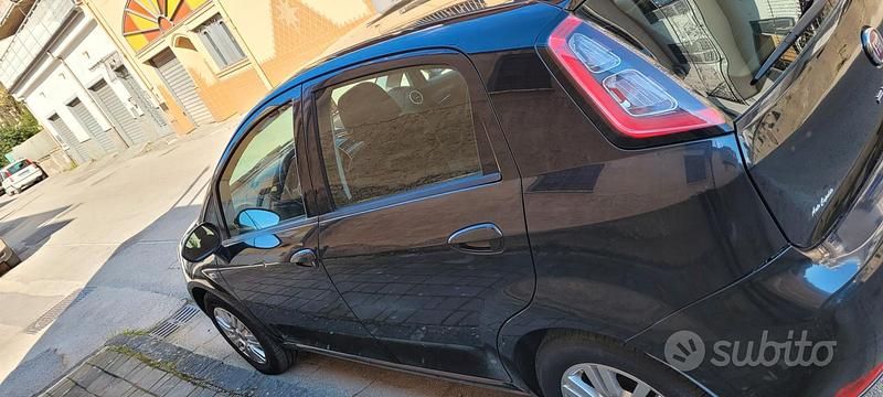 Usata Fiat Punto Lounge 69 CV (50 kW) 2013 Utilitaria