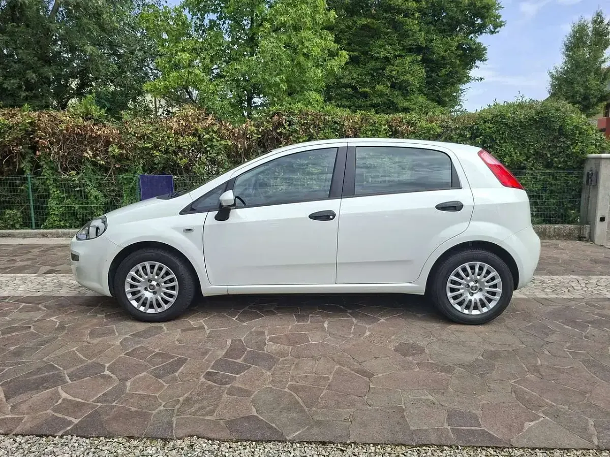 Usata Fiat Punto Pop 69 CV (50 kW) 2015 Bianco Utilitaria