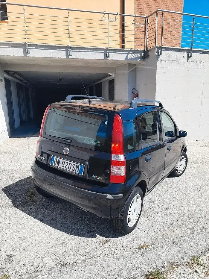 Usata Fiat Panda 60 CV (44 kW) 2008 Nero Utilitaria