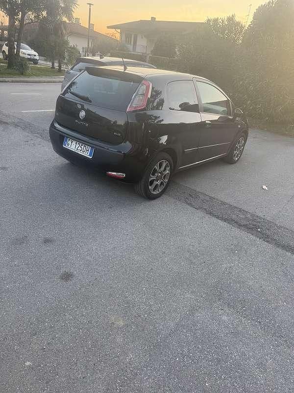 Usata Fiat Punto Evo Active 77 CV (56 kW) 2009 Utilitaria