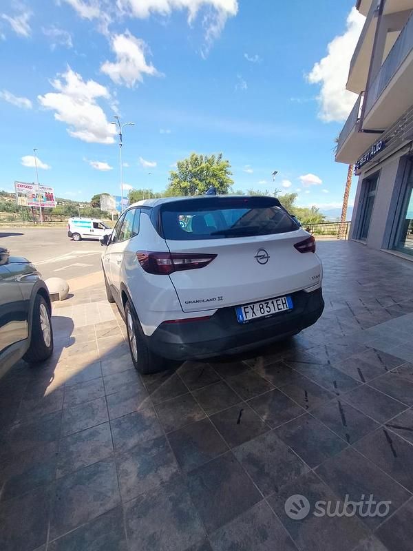 Usata Opel Grandland X 2019 Bianco SUV