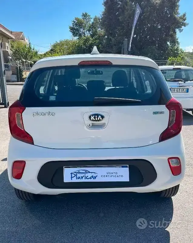 Usata Kia Picanto 2019 Bianco Utilitaria
