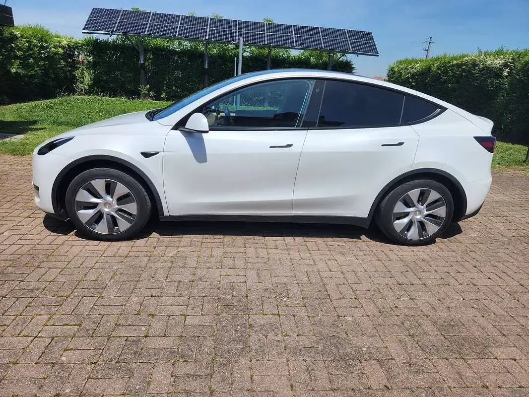 Usata Tesla Model Y RWD 125 kW (170 CV) 2024 Bianco SUV