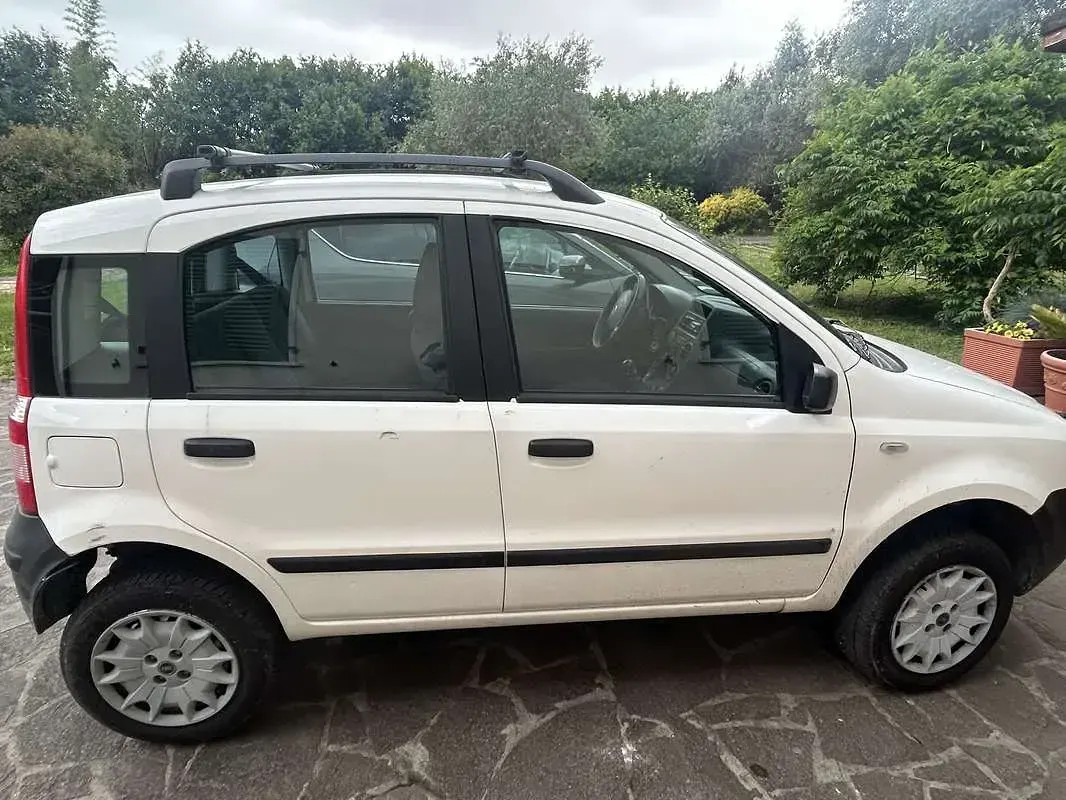 Usata Fiat Panda 4x4 69 CV (50 kW) 2007 Utilitaria
