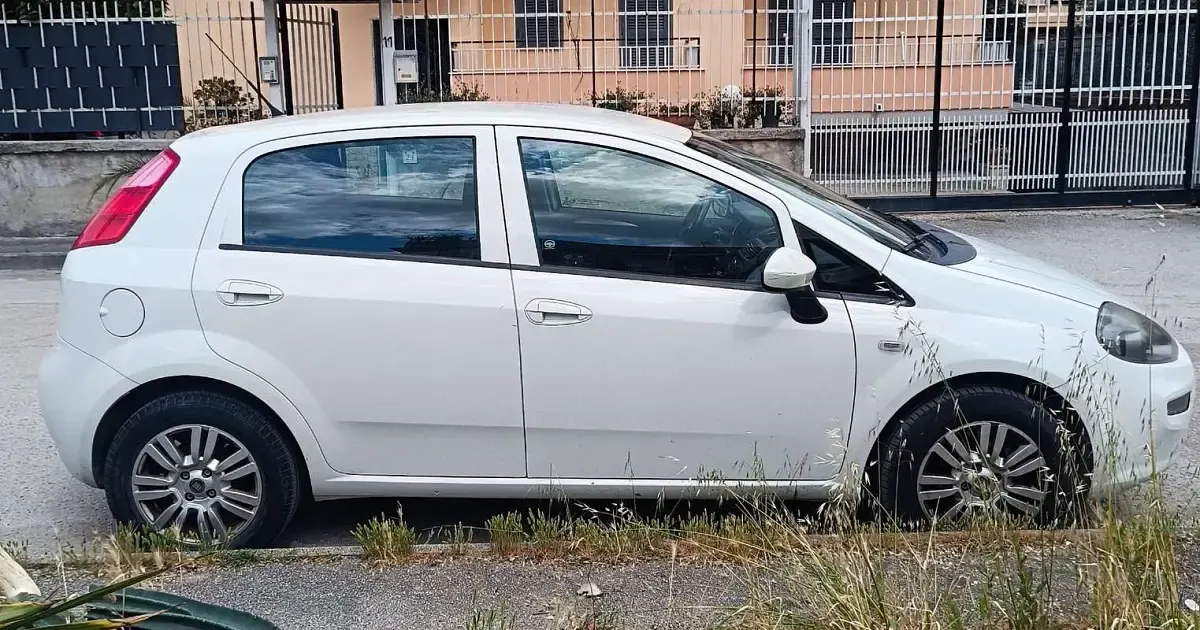 Usata Fiat Punto Lounge 77 CV (56 kW) 2016 Bianco Utilitaria
