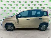 Nuova Fiat Panda Icon 65 CV (47 kW) 2026 Bianco Utilitaria