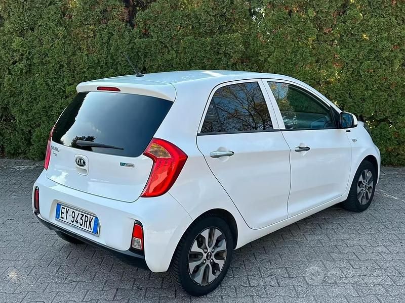 Gebraucht Kia Picanto 66 PS (48 kW) 2015 Weiß Kleinwagen