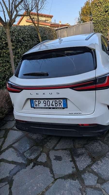 Usata Lexus NX350h 190 CV (139 kW) 2023 Bianco SUV