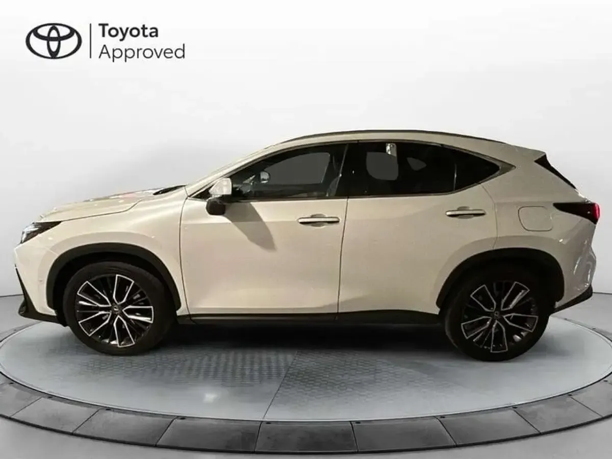 Usata Lexus NX200t Luxury Line 309 CV (227 kW) 2023 Bianco SUV