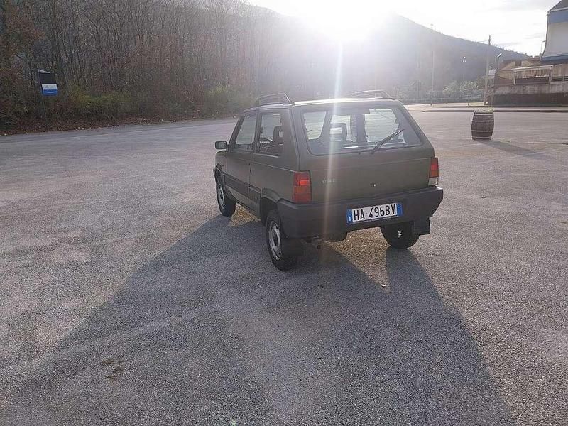 Usata Fiat Panda 4x4 Trekking 54 CV (39 kW) 2004 Verde Utilitaria
