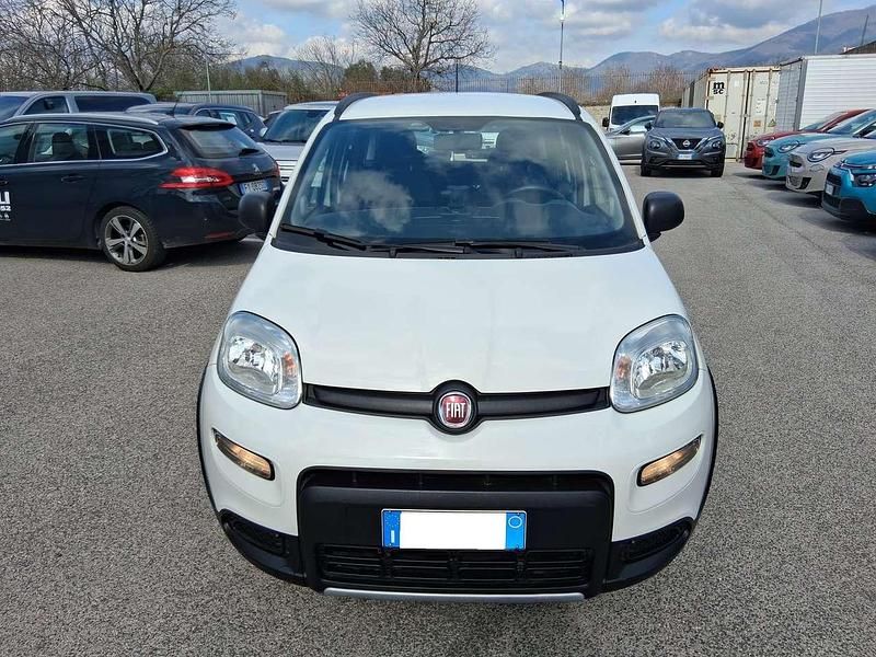 Usata Fiat Panda 4x4 S 86 CV (63 kW) 2020 Other Utilitaria