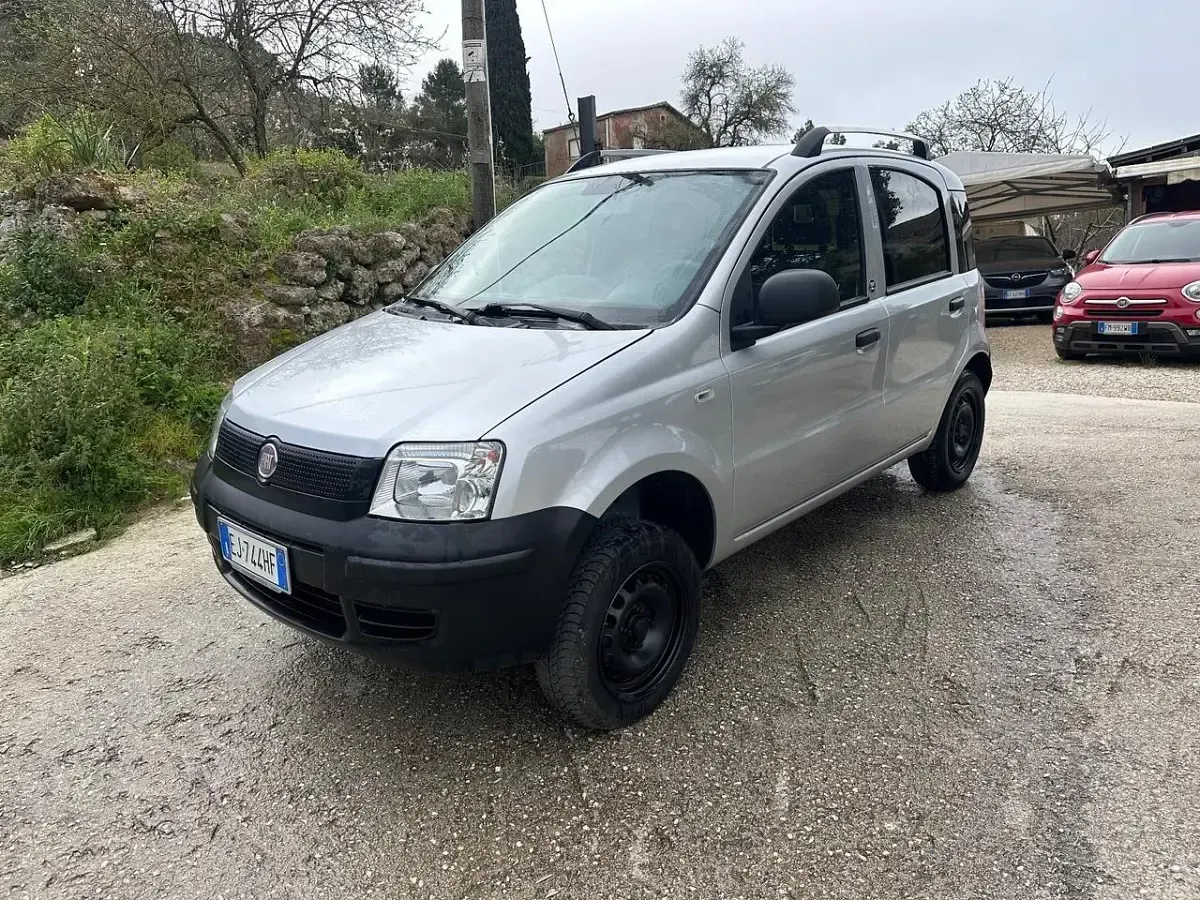 Usata Fiat Panda 4x4 Active 75 CV (55 kW) 2011 Grigio Utilitaria