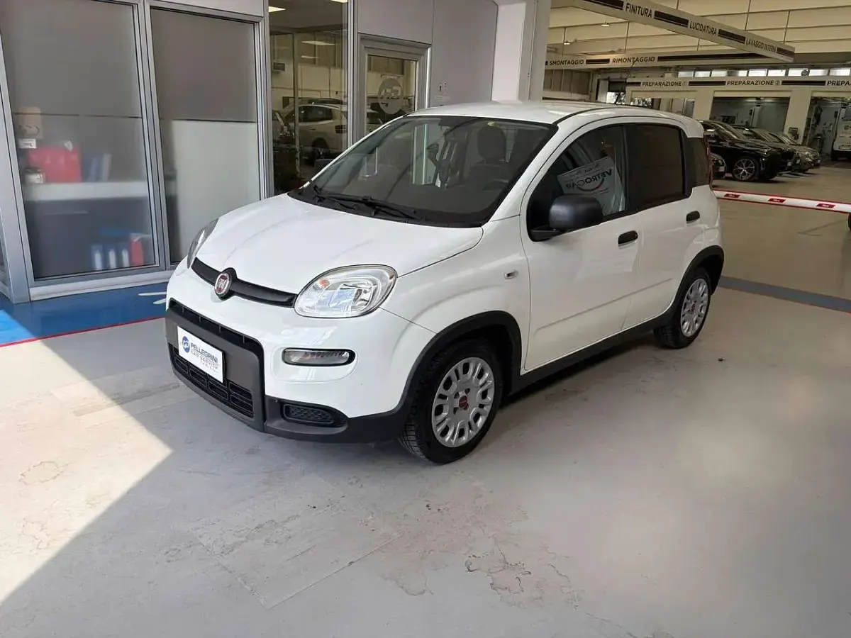 Usata Fiat Panda S 69 CV (50 kW) 2023 Bianco Utilitaria