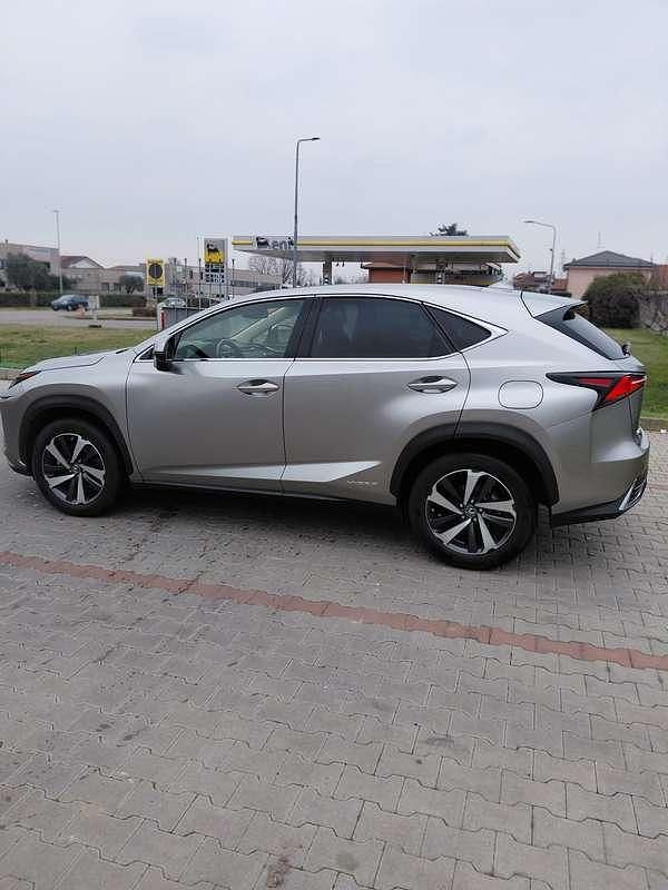 Usata Lexus NX300h Luxury Line 155 CV (114 kW) 2019 Argento SUV