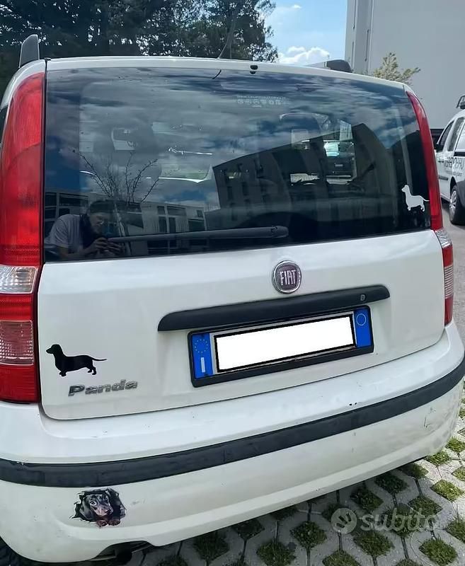 Usata Fiat Panda Dynamic 69 CV (50 kW) 2010 Bianco Utilitaria