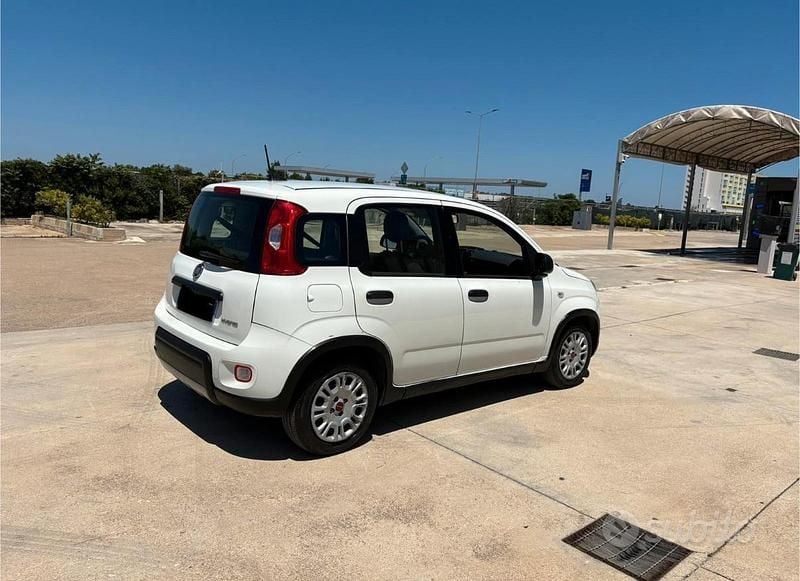 Usata Fiat Panda 70 CV (51 kW) 2023 Berlina
