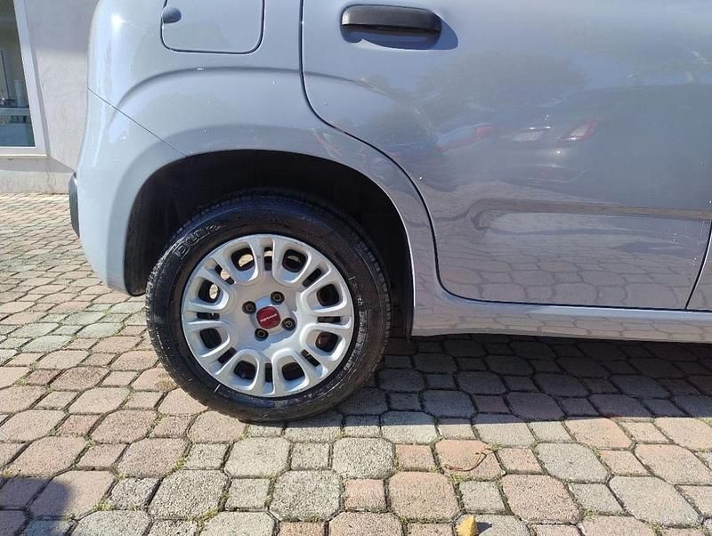 Usata Fiat Panda Easy 69 CV (50 kW) 2019 Grigio chiaro Utilitaria