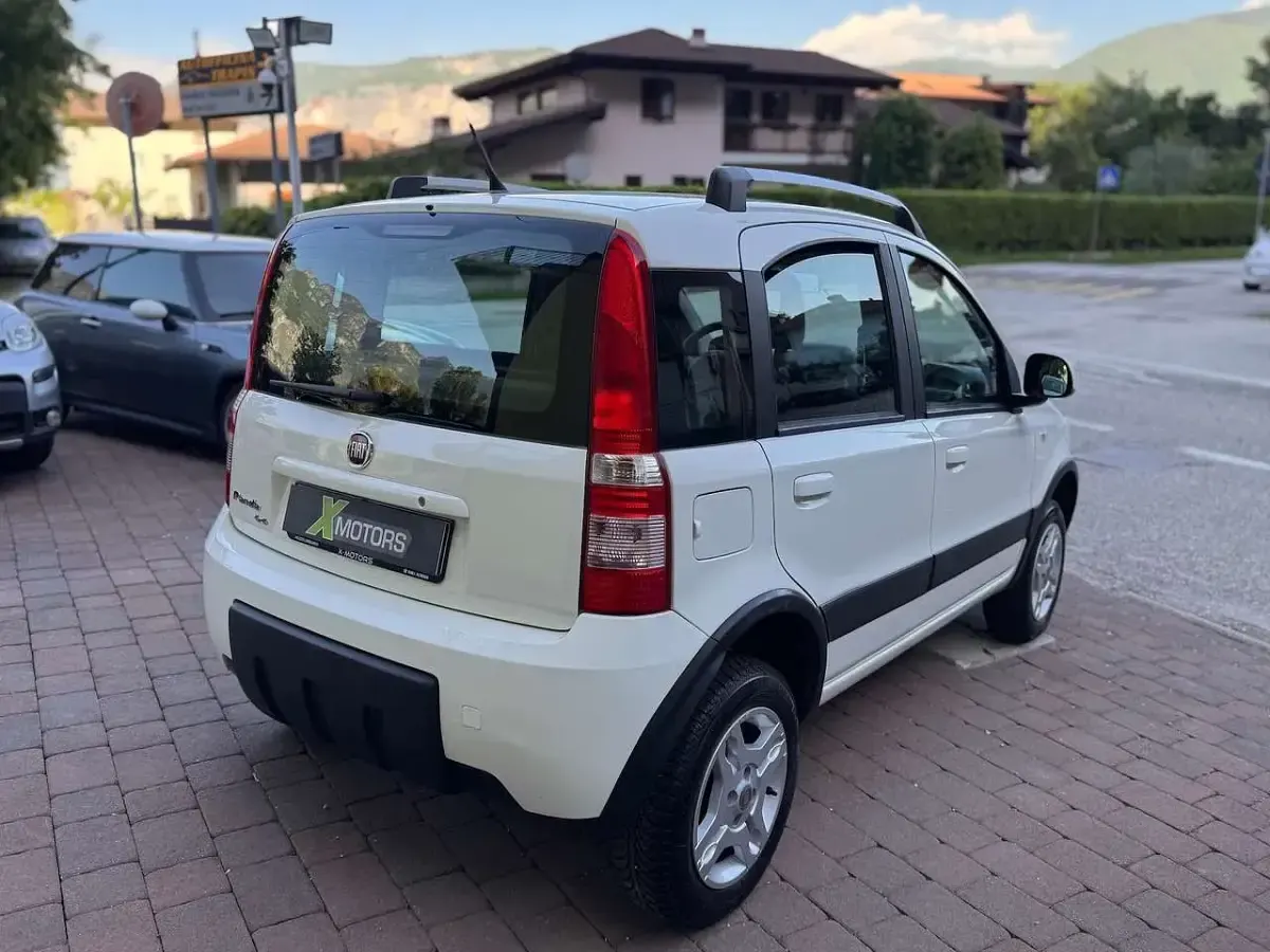 Usata Fiat Panda 4x4 Climbing 75 CV (55 kW) 2011 Bianco Utilitaria