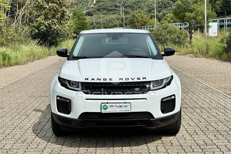 Usata Land Rover Range Rover evoque S 150 CV (110 kW) 2019 Bianco SUV