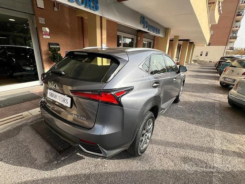 Usata Lexus NX300h Business Edition 155 CV (114 kW) 2019 Grigio SUV