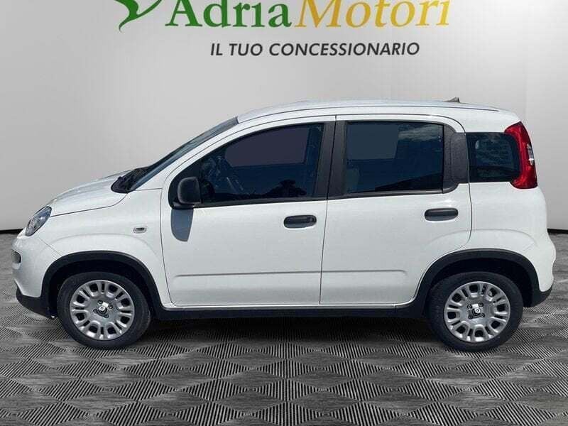 Usata Fiat Panda S 70 CV (51 kW) 2024 Bianco Utilitaria