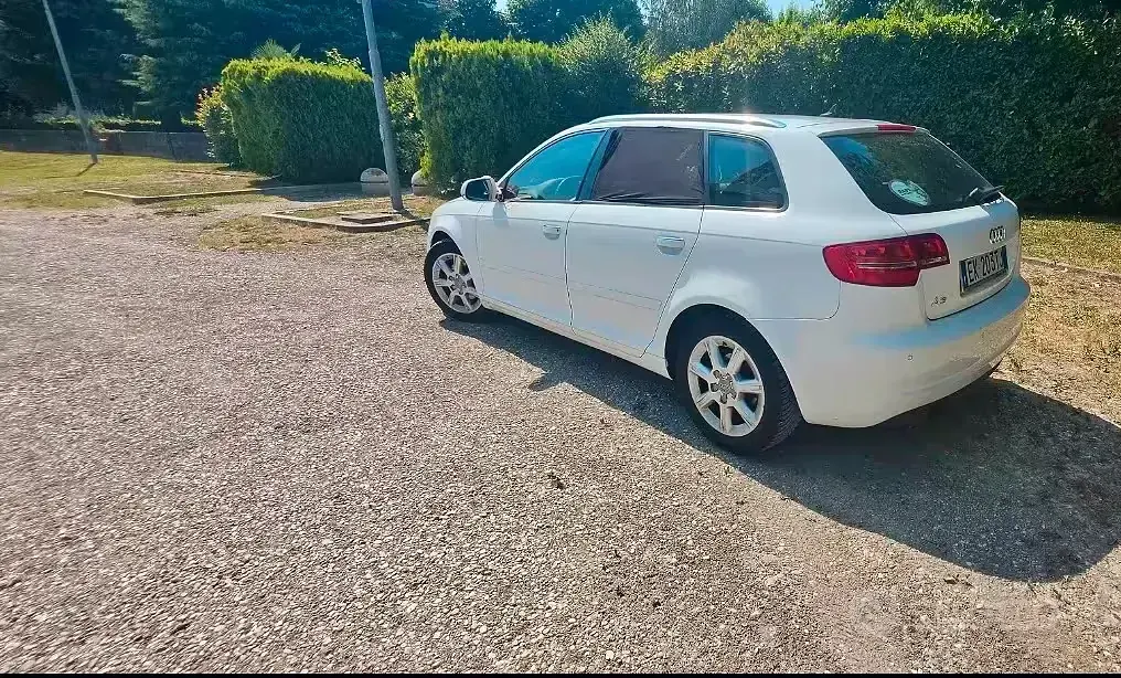 Usata Audi A3 105 CV (77 kW) 2011 Bianco Utilitaria