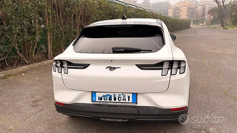 Usata Ford Mustang 268 CV (197 kW) 2023 Bianco Station wagon