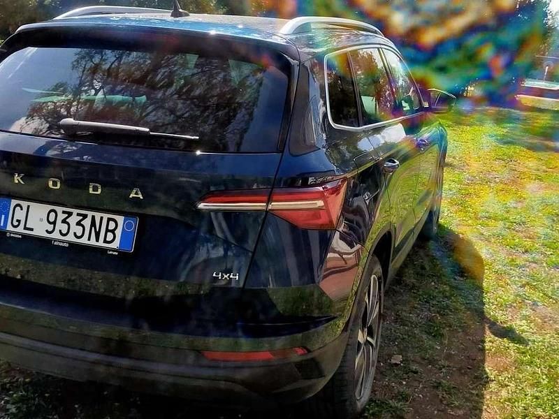 Blu/azzurro Usata 2022 Skoda Karoq Executive SUV | 21.000 € (Super prezzo) - Immagine 1/4