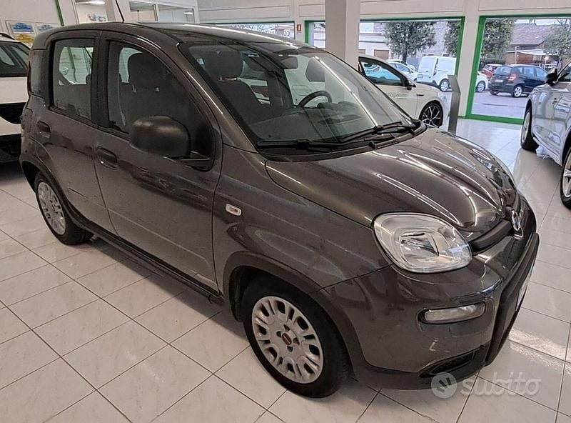 Usata Fiat Panda S 69 CV (50 kW) 2023 Grigio Utilitaria