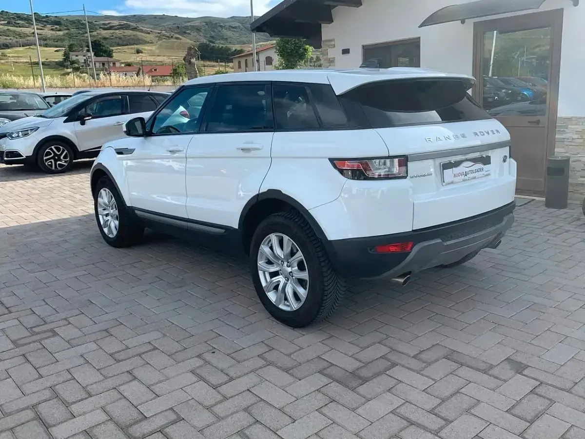 Usata Land Rover Range Rover evoque HSE 150 CV (110 kW) 2019 Bianco SUV
