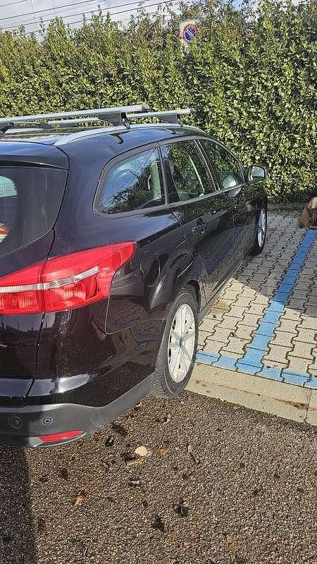 Usata Ford Focus Business Edition 120 CV (88 kW) 2017 Station wagon