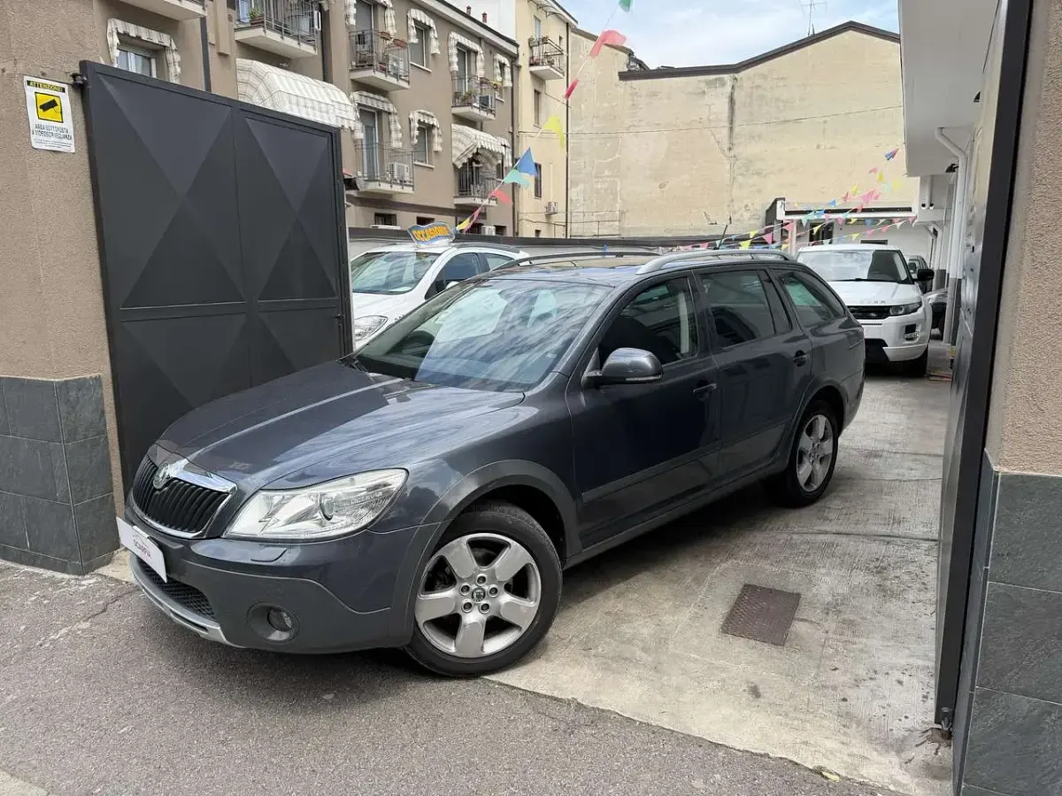 Usata Skoda Octavia Scout 4x4 160 CV (117 kW) 2009 Grigio Station wagon