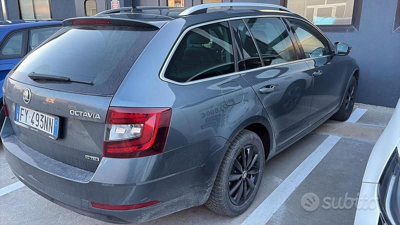 Usata Skoda Octavia G-TEC 130 CV (95 kW) 2019 Grigio Station wagon