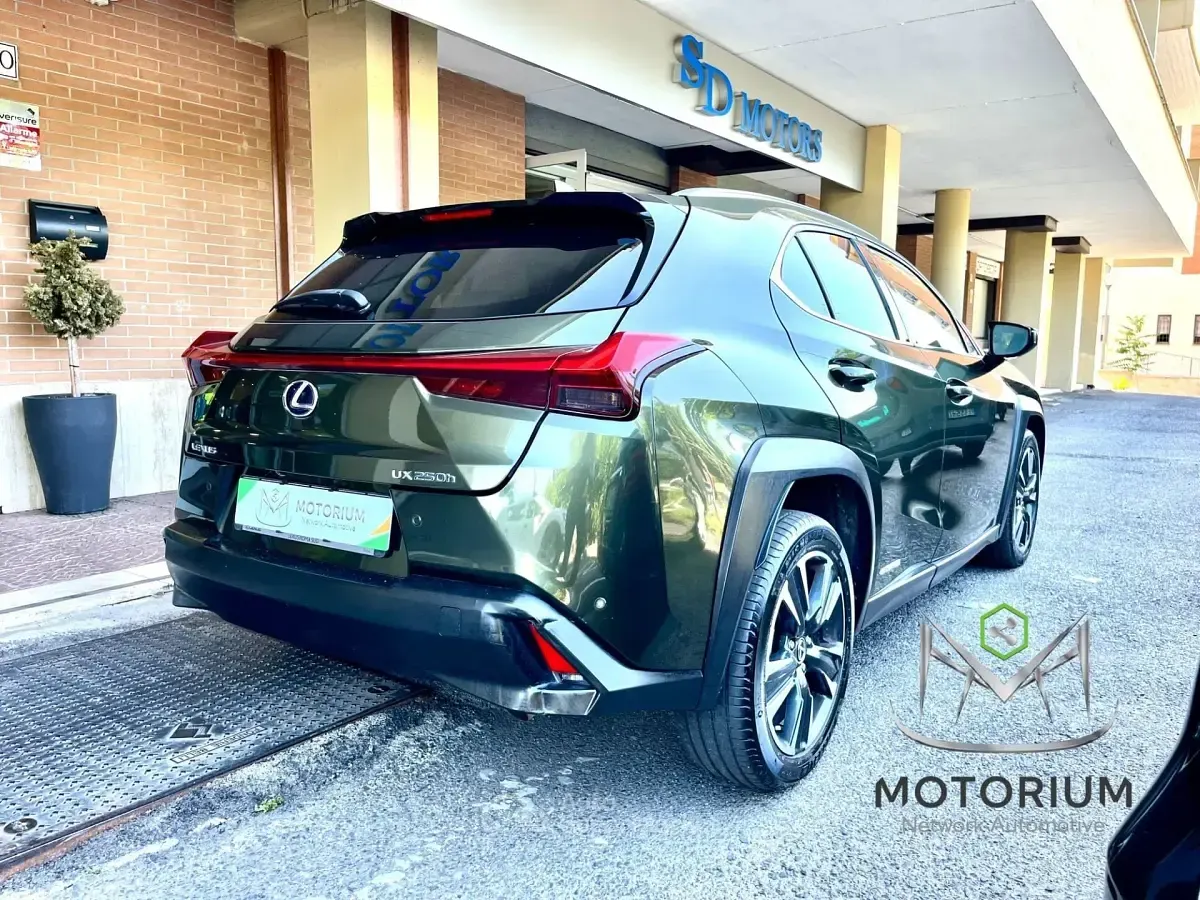 Usata Lexus UX 250h Executive Line 145 CV (106 kW) 2020 Verde SUV