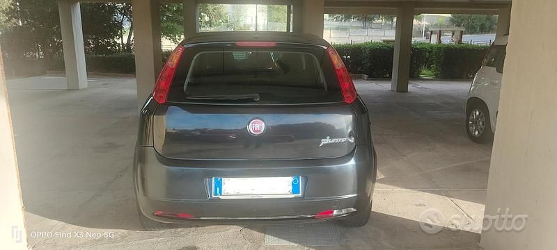 Usata Fiat Punto Evo Active 69 CV (50 kW) 2013 Utilitaria