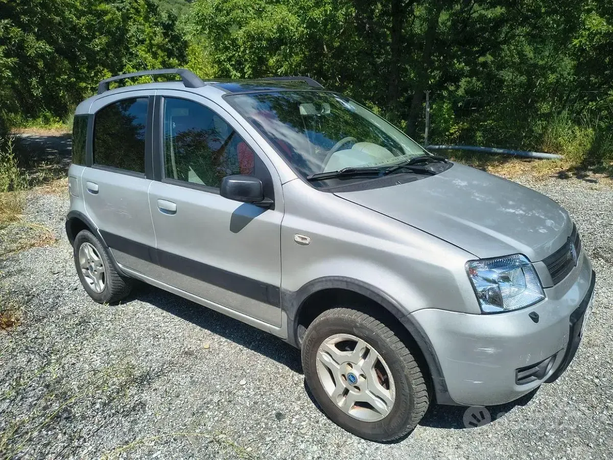 Usata Fiat Panda 4x4 Climbing 60 CV (44 kW) 2005 Grigio Utilitaria