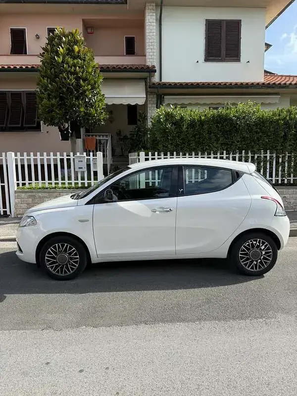 Usata Lancia Ypsilon Gold 69 CV (50 kW) 2016 Utilitaria