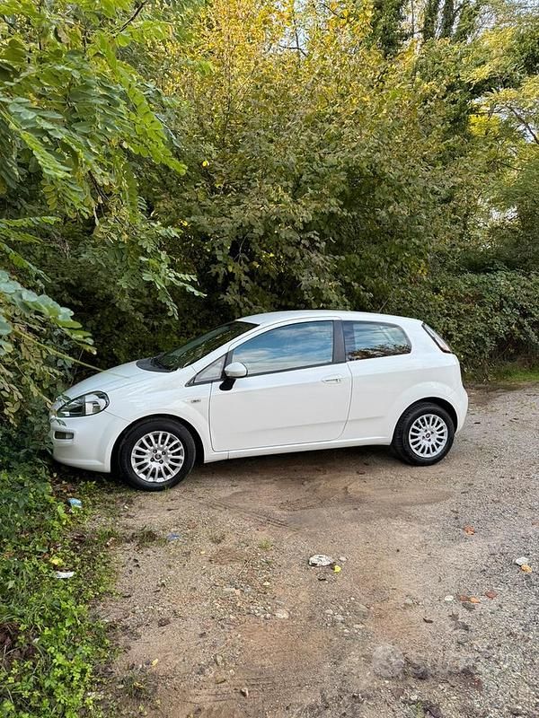 Usata Fiat Punto 69 CV (50 kW) 2014 Bianco Utilitaria