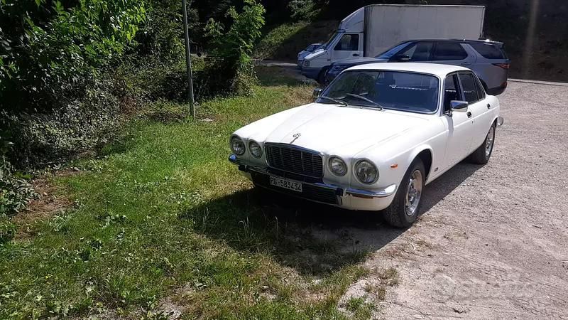 Usata Jaguar XJ6 1981 Bianco Berlina