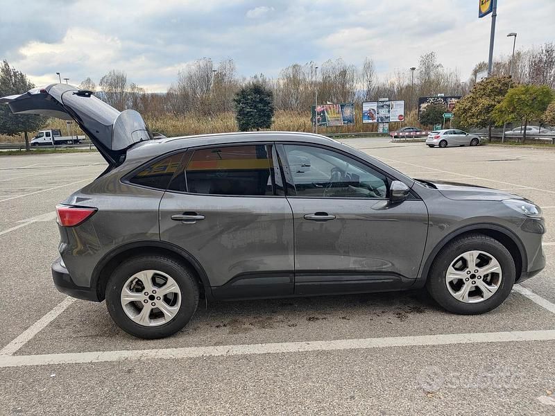 Usata Ford Kuga 120 CV (88 kW) 2021 Marrone SUV