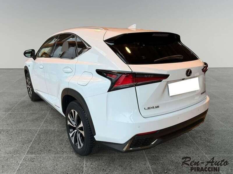 Usata Lexus NX300h Sport Line 197 CV (144 kW) 2018 Bianco SUV